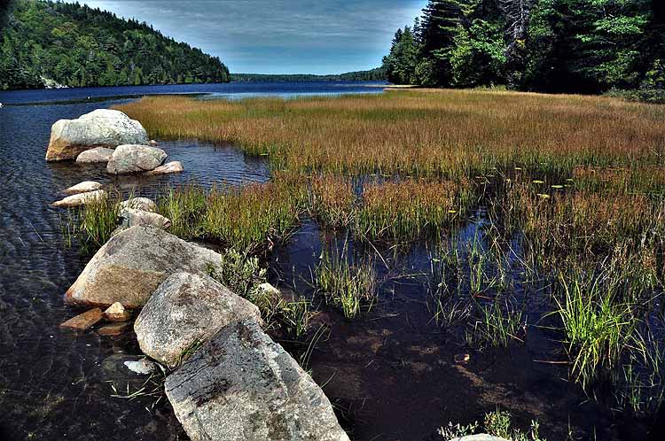 lake scene